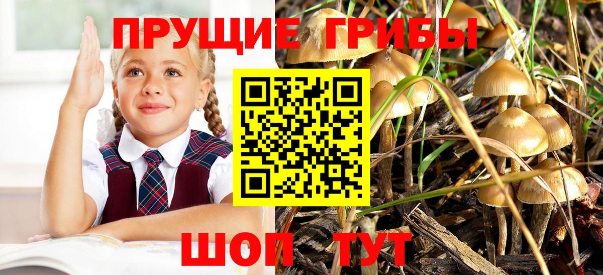 Псилоцибиновые грибы прущие грибы Хабаровск