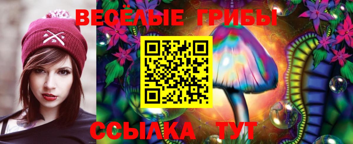 Псилоцибиновые грибы мухоморы  Псилоцибиновые грибы GOLDEN TEACHER  Хабаровск  Вход с VPN 